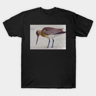 SOME BIRDS HAVE SEXY LEGS T-Shirt